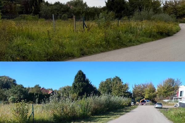 Usługi ogrodnicze — realizacja 2