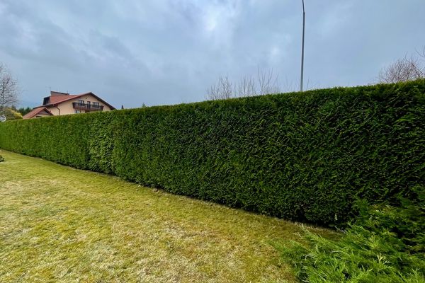 Kwitnący Sukces Ogrodnik Firma ogrodnicza — realizacja 4